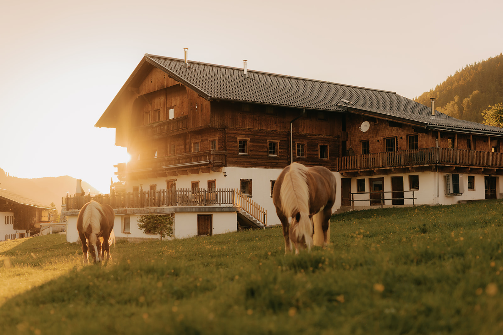 Ferienhaus Tuxerhof in Achenkirch, Tirol