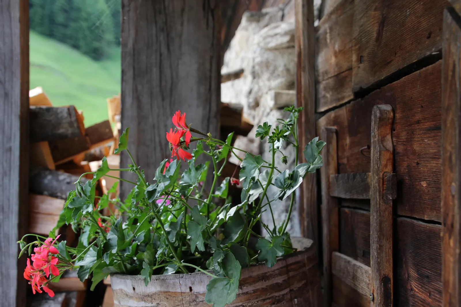 Haidegg Hütte in Bad Hofgastein, Salzburg