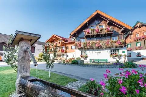 Almchalet Linharterhof in Haus im Ennstal