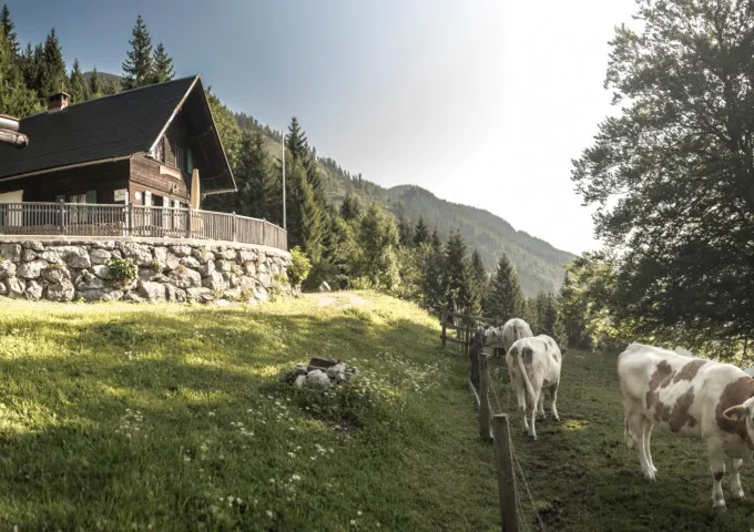 Bergbauern - Lackneralmhütte in Palfau, Steiermark