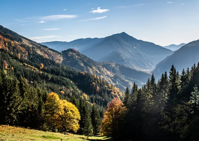 Bergbauern - Lackneralmhütte in Palfau, Steiermark