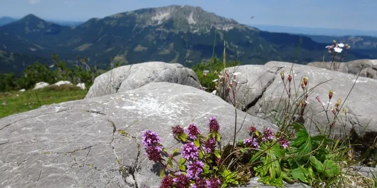 Esebeck-Hütte in Stadl-Predlitz, Steiermark