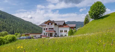 Ferienhaus Bergerhof in Ramsau am Dachstein