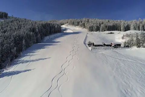 Holzeralm in Schladming-Preunegg