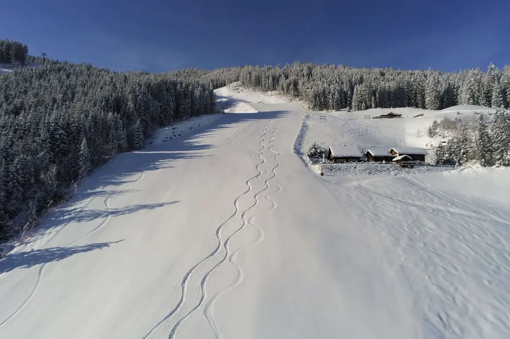Holzeralm in Schladming-Preunegg, Steiermark