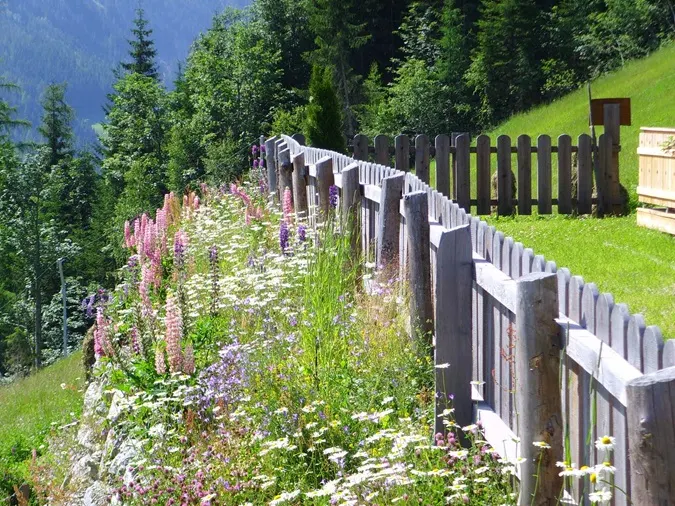 Holzeralm in Schladming-Preunegg, Steiermark