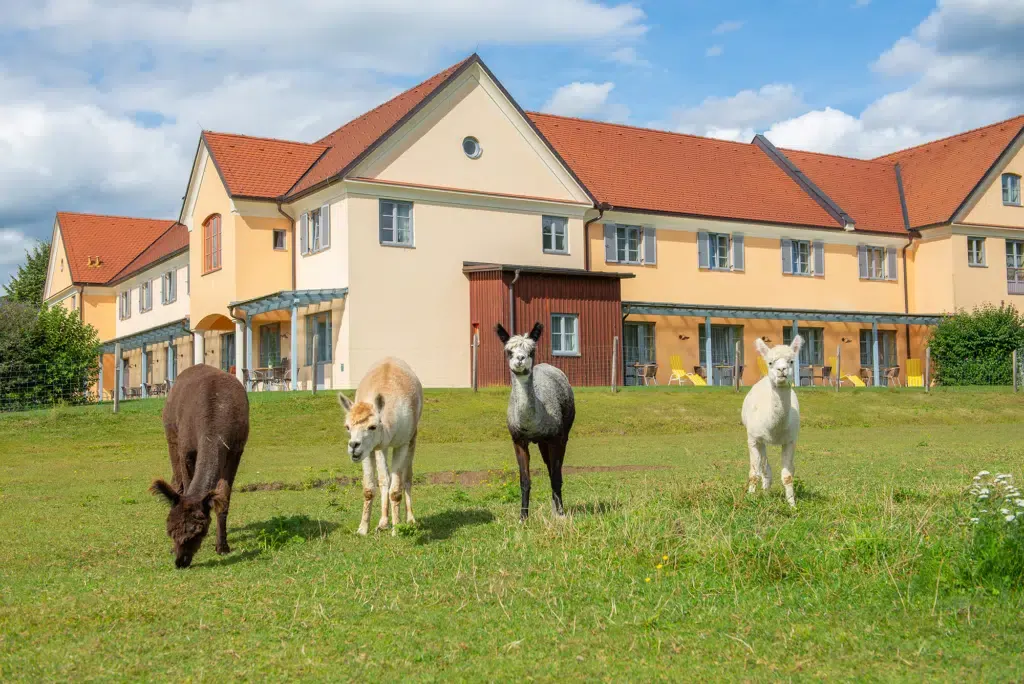 JUFA Hotel Pöllau in Pöllau bei Hartberg, Steiermark