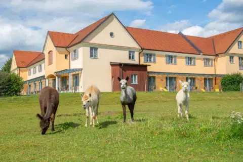 JUFA Hotel Pöllau in Pöllau bei Hartberg, Steiermark