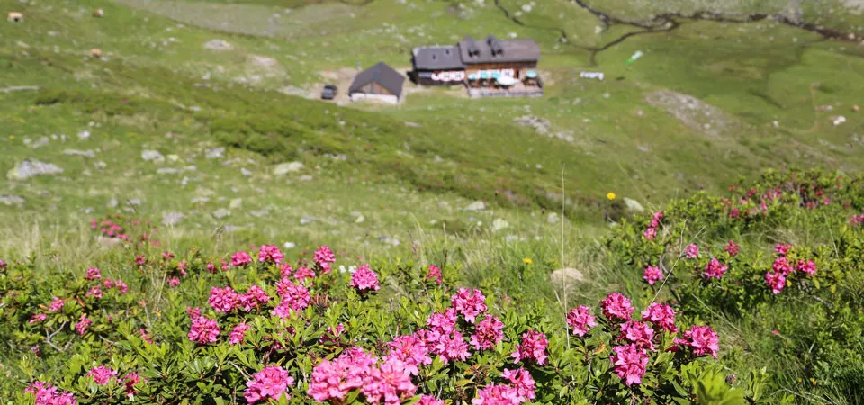 Keinprecht-Hütte in Schladming, Steiermark