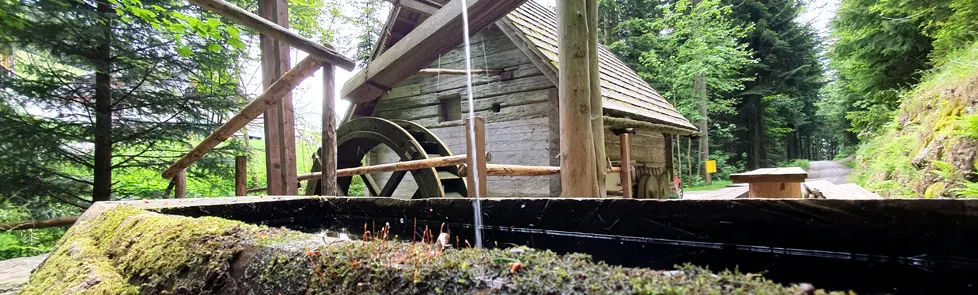 Kindergästehaus Familie Geier in St. Jakob im Walde, Steiermark