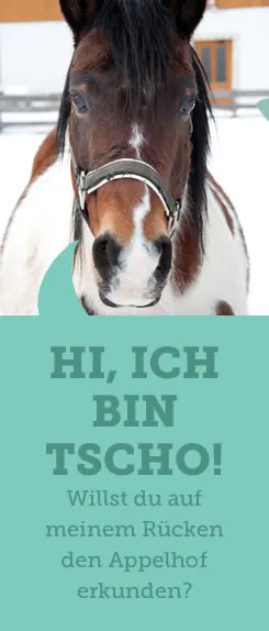Kinderhotel APPELHOF in Mürzsteg, Steiermark