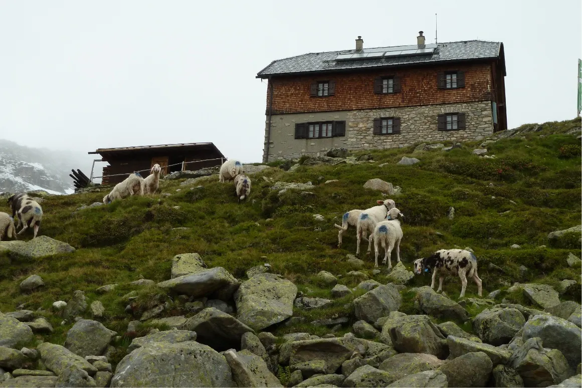 Kattowitzer Hütte in Malta, Kärnten