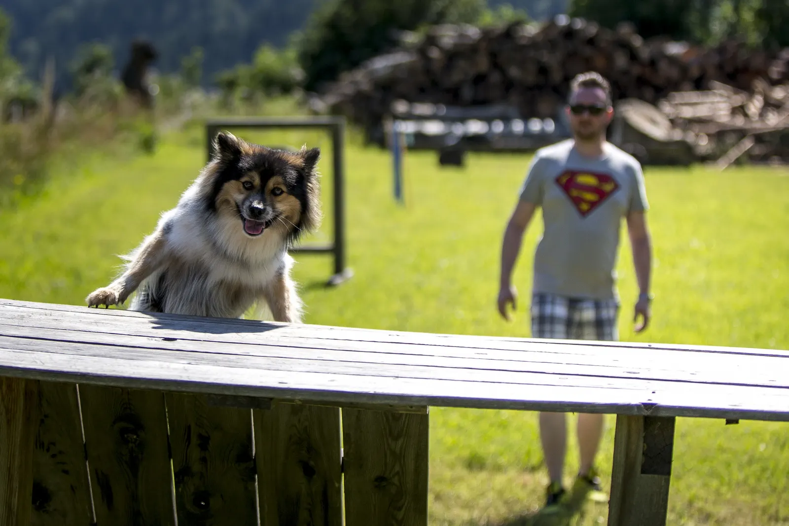 Olachgut in St. Georgen/Murau, Steiermark