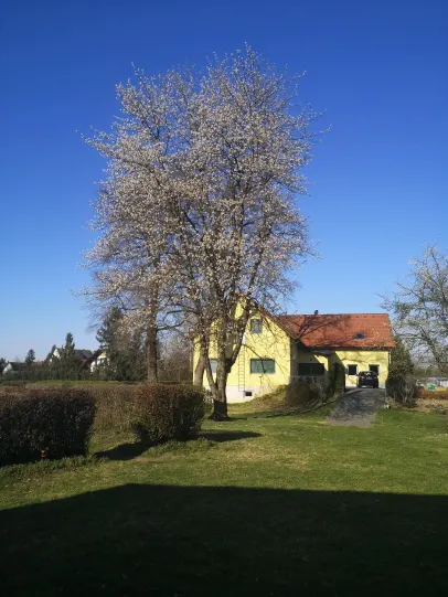 Pfadfinderzentrum Leibnitz in Leibnitz, Steiermark