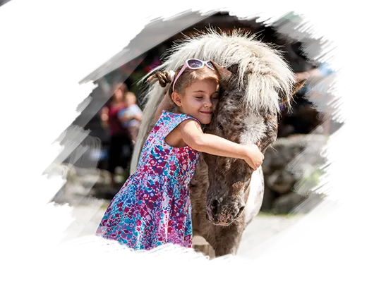 Planner Berghaus in Irdning-Donnersbachtal, Steiermark