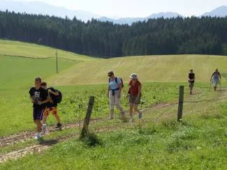 Pürcherhof in Mitterberg, Steiermark