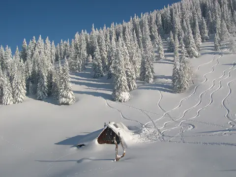 Tonionhütte in Mariazell