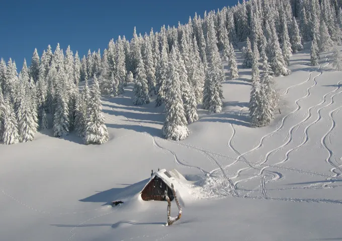 Tonionhütte in Mariazell, Steiermark