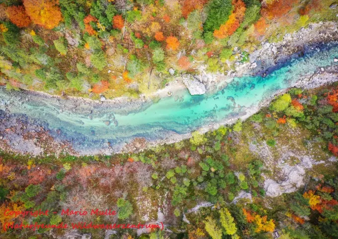 Wildwasserzentrum Wildalpen in Wildalpen, Steiermark