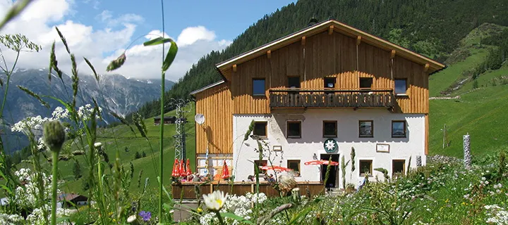 Edelweißhaus in Kaisers, Tirol