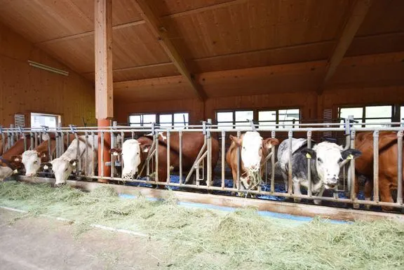 Ferienheim Paulinghof in Breitenbach, Tirol
