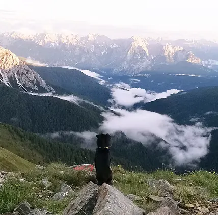 Filmoor-Standschützen-Hütte in Kartitsch, Tirol