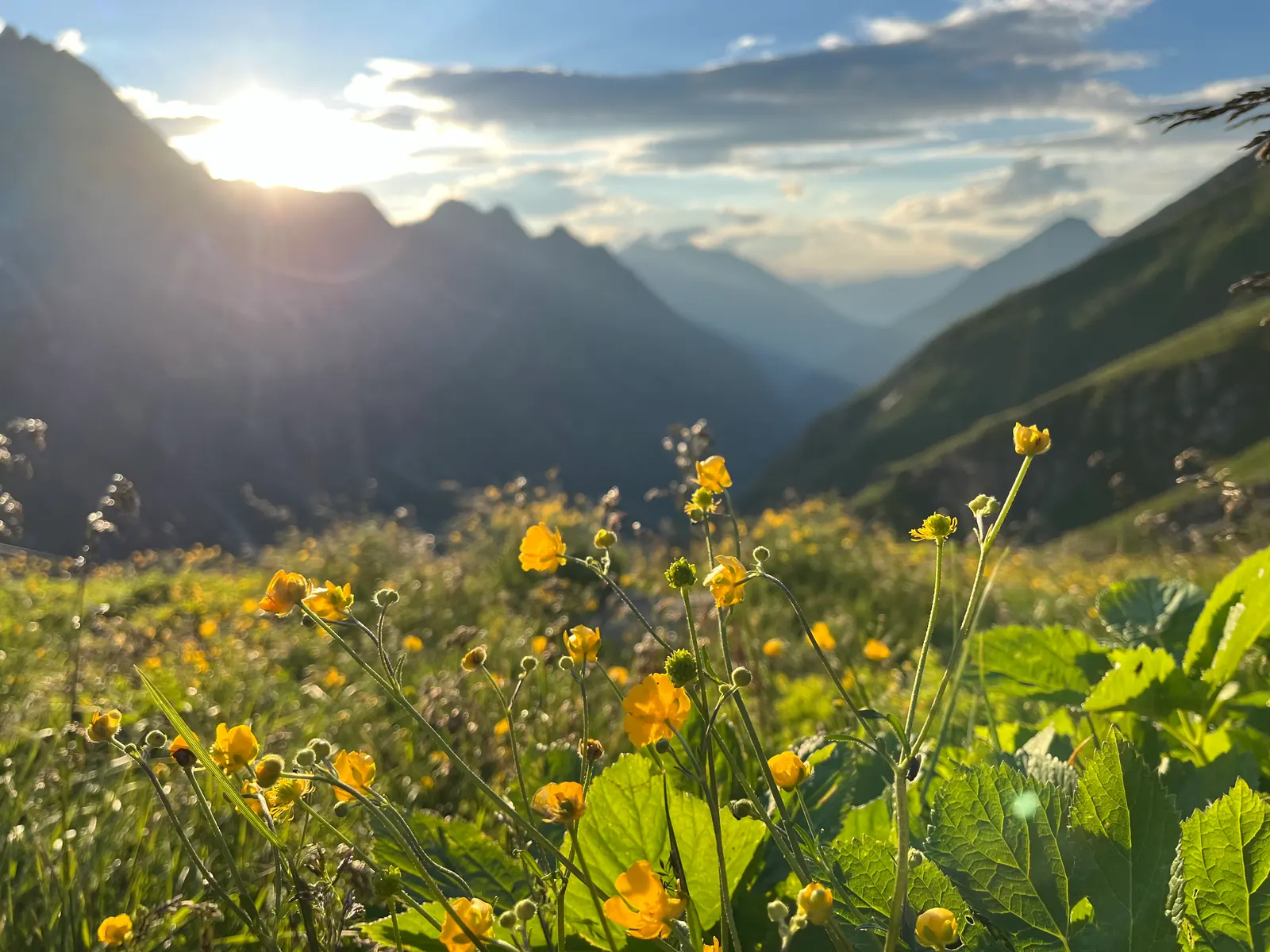 Greizer Hütte in Mayrhofen, Tirol