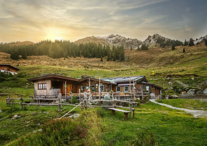 Hochwildalm in Aurach bei Kitzbühel, Tirol