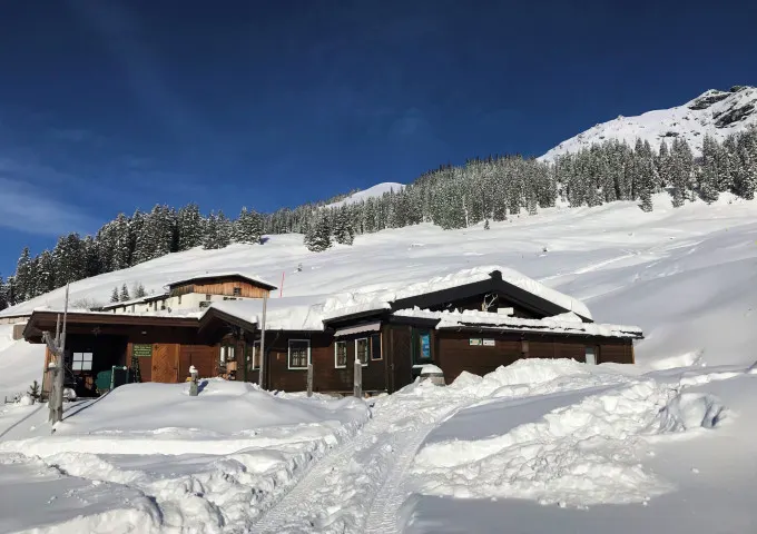 Hochwildalm in Aurach bei Kitzbühel, Tirol