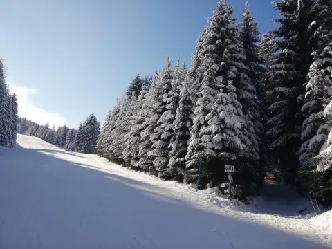Jugendgästehaus Gufl in Tulfes, Tirol