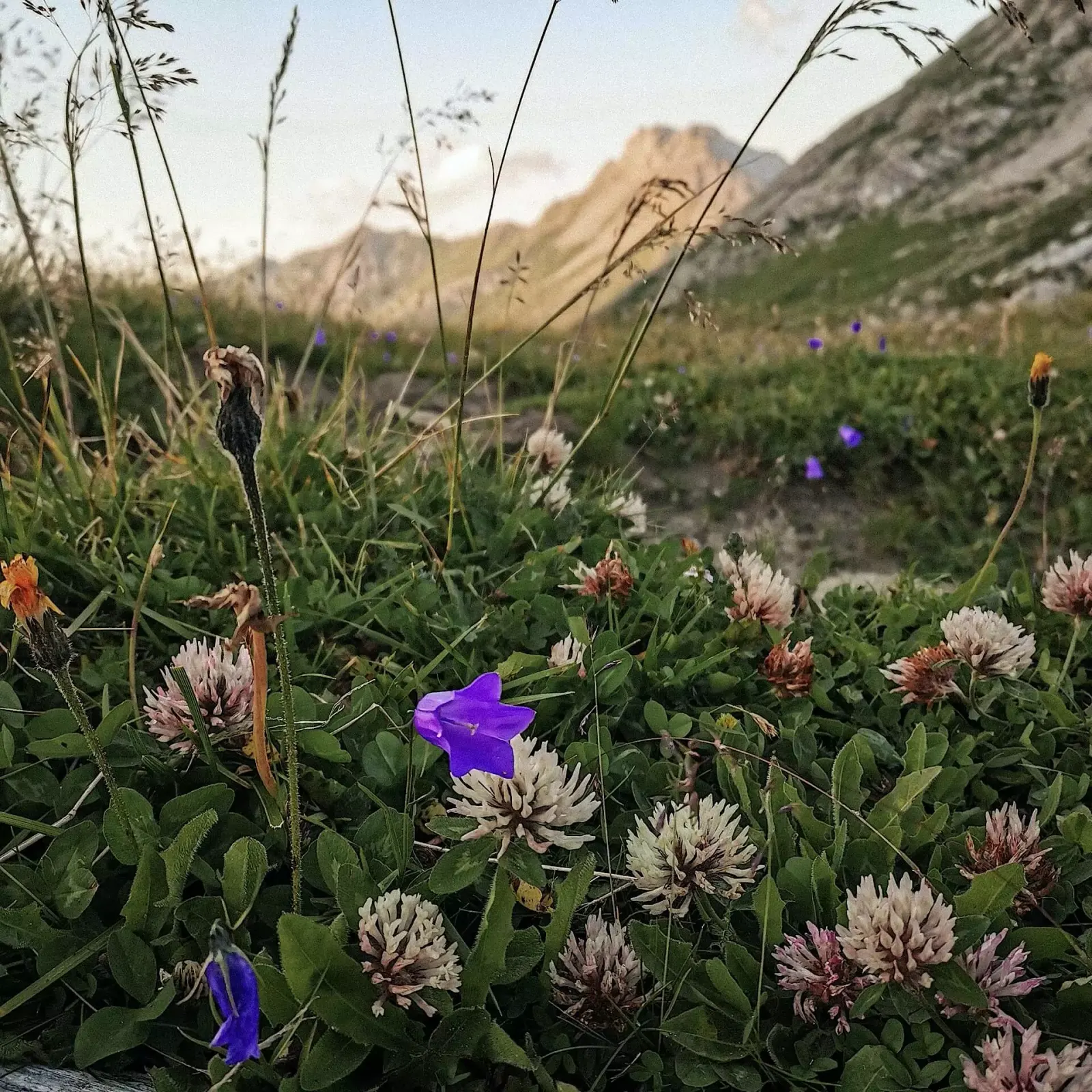Kaiserjochhaus in Pettneu am Arlberg, Tirol