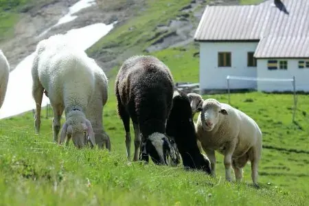 Kaiserjochhaus in Pettneu am Arlberg, Tirol