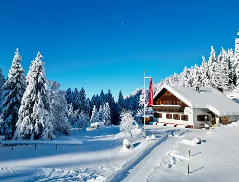 Emser Hütte in Hohenems