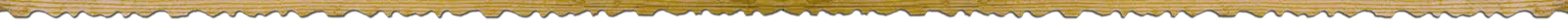 Haus Bergfelder - Familie Dür in Hirschegg, Vorarlberg