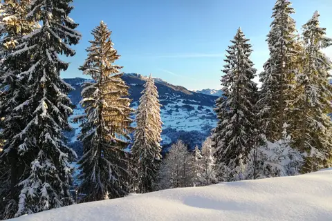 Jugendferienhaus Sonneheim in Tschagguns