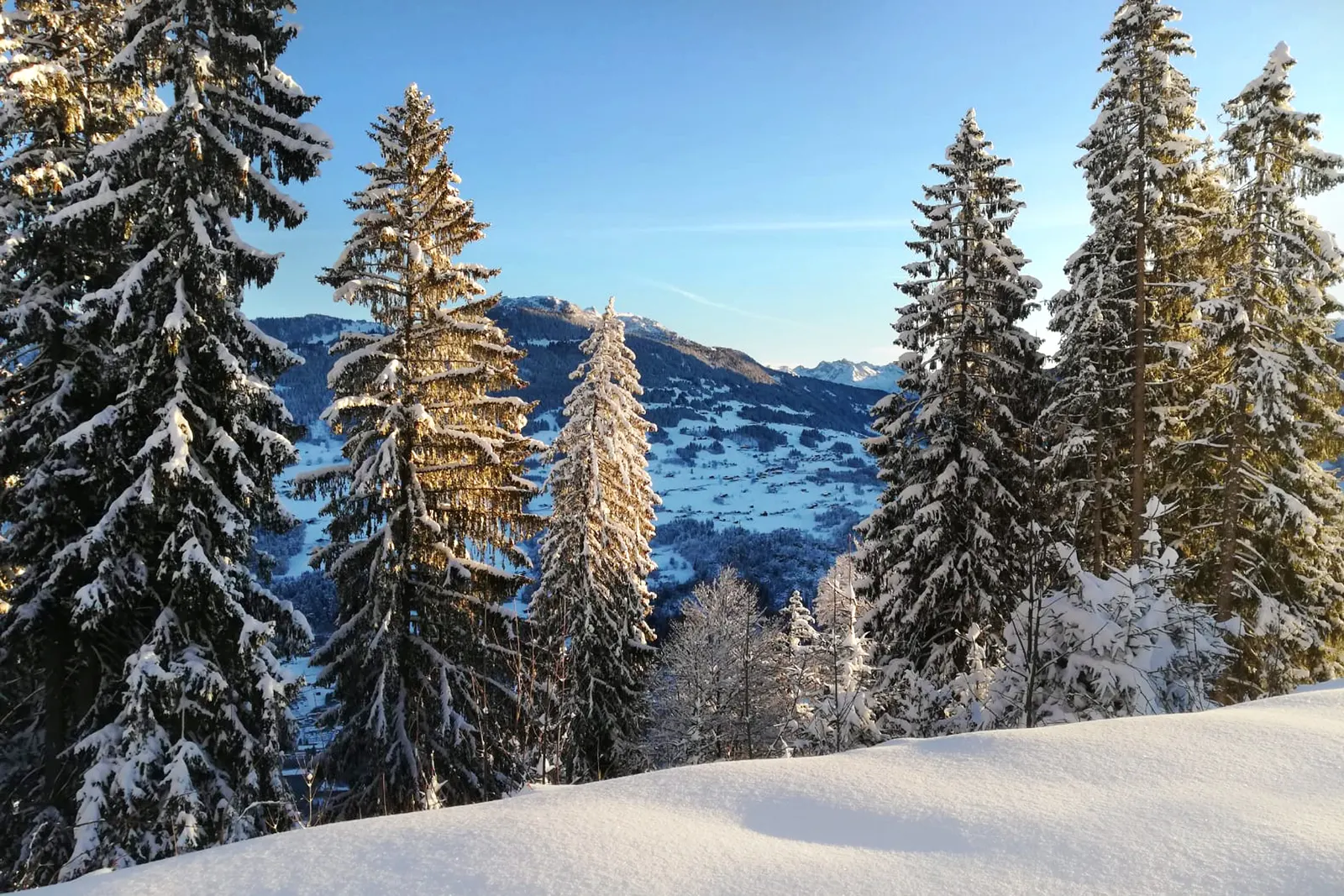 Jugendferienhaus Sonneheim in Tschagguns, Vorarlberg