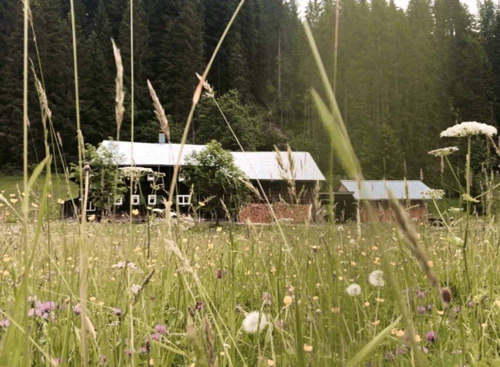 Vorderbodenhütte in Mittelberg, Vorarlberg