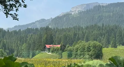 Walmendinger Haus - Familie Greiner in Hirschegg