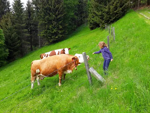 Almhütte Graier Huabn in Grades