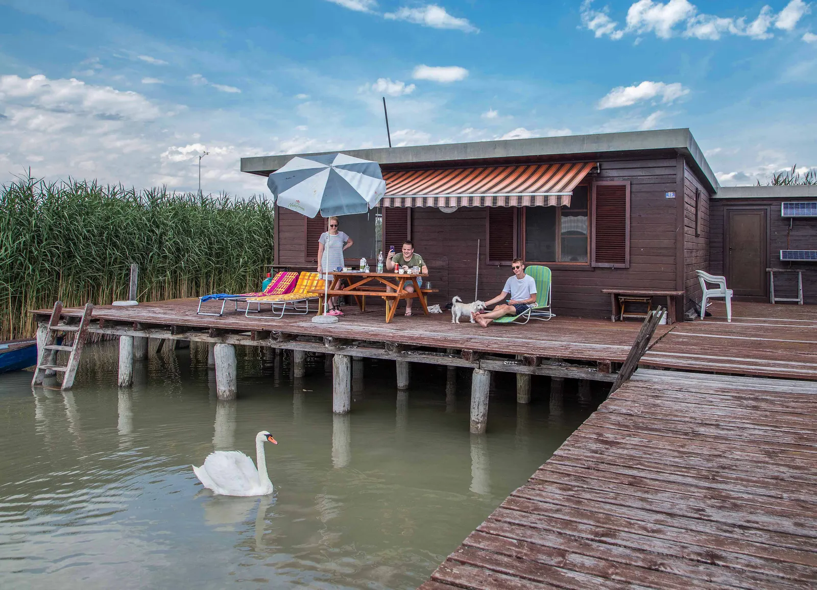 Eisenstädter Seehütte in Rust, Burgenland