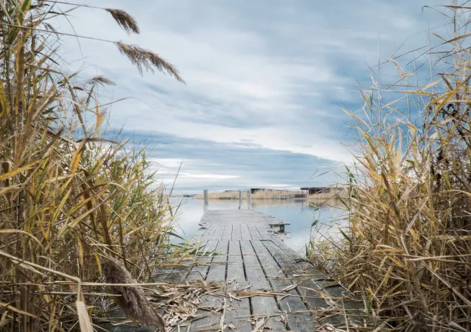 Eisenstädter Seehütte in Rust, Burgenland