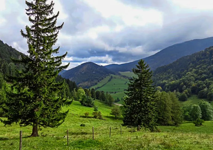 Himbergerhaus in Puchberg am Schneeberg, Niederösterreich