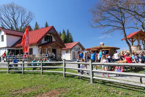 Josef-Franz-Hütte in Tradigist