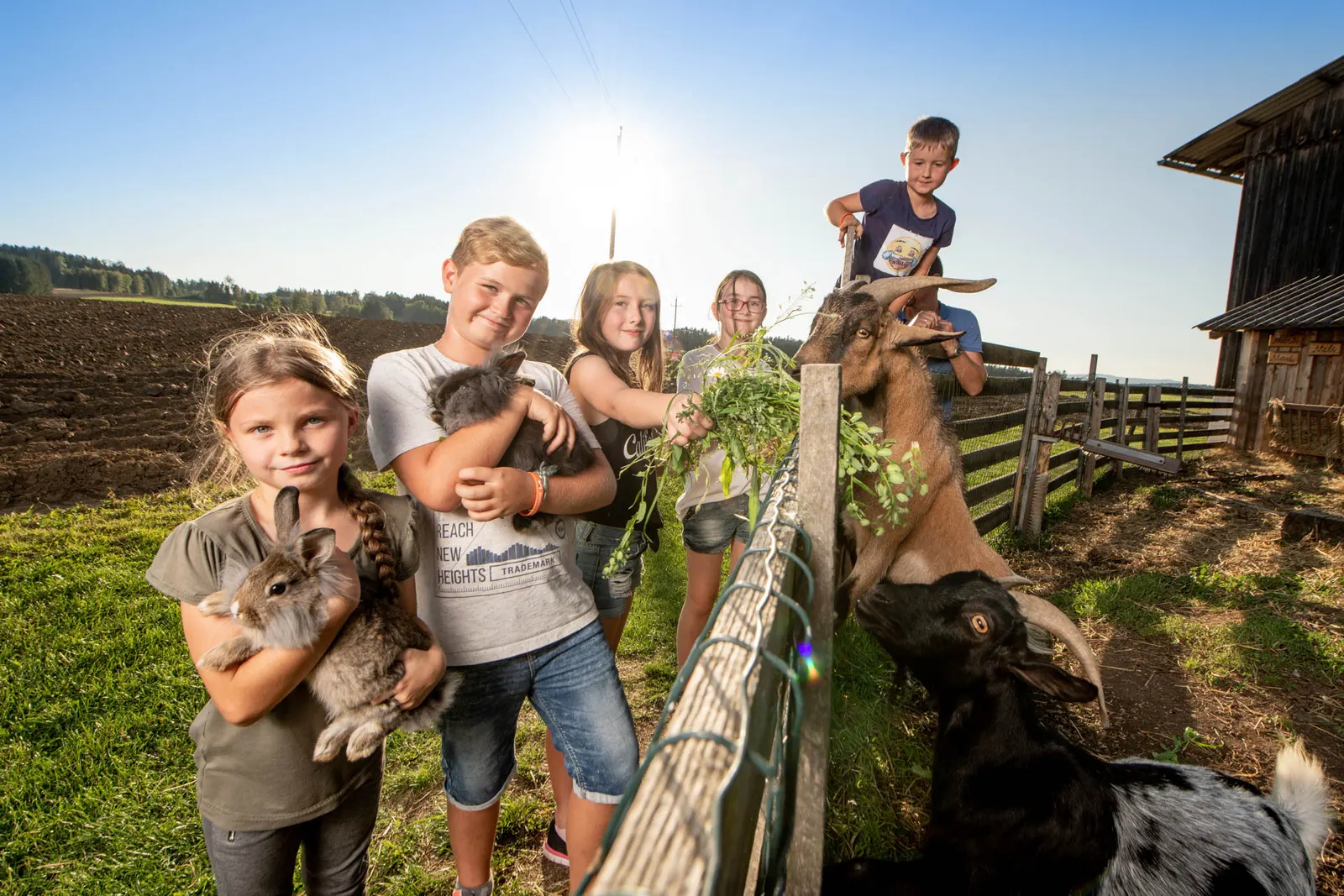 Kindererlebnis- und Biobauernhof Hipp-Bruckner in Großschönau, Niederösterreich