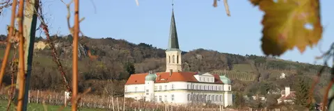 Schloss Gumpoldskirchen des Deutschen Ordens in Gumpoldskirchen