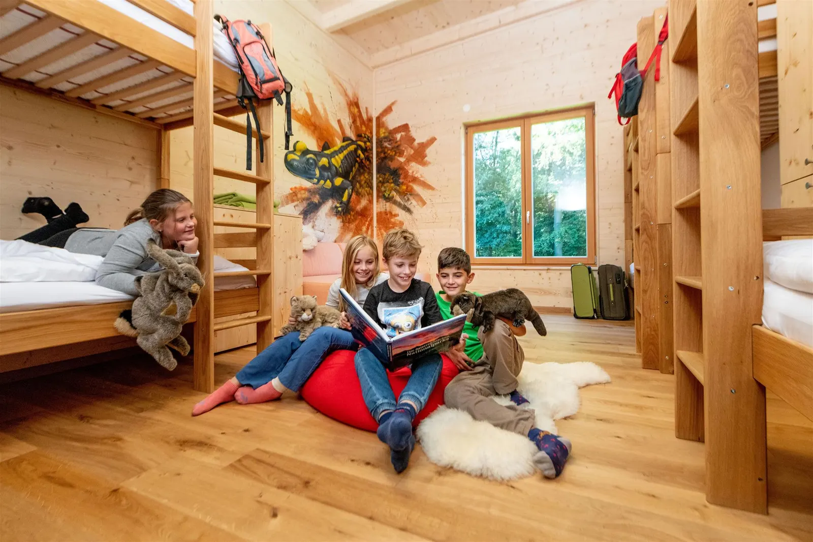 Wildkatzen Camp in Hardegg, Niederösterreich