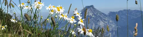 Feuerkogelhaus in Ebensee