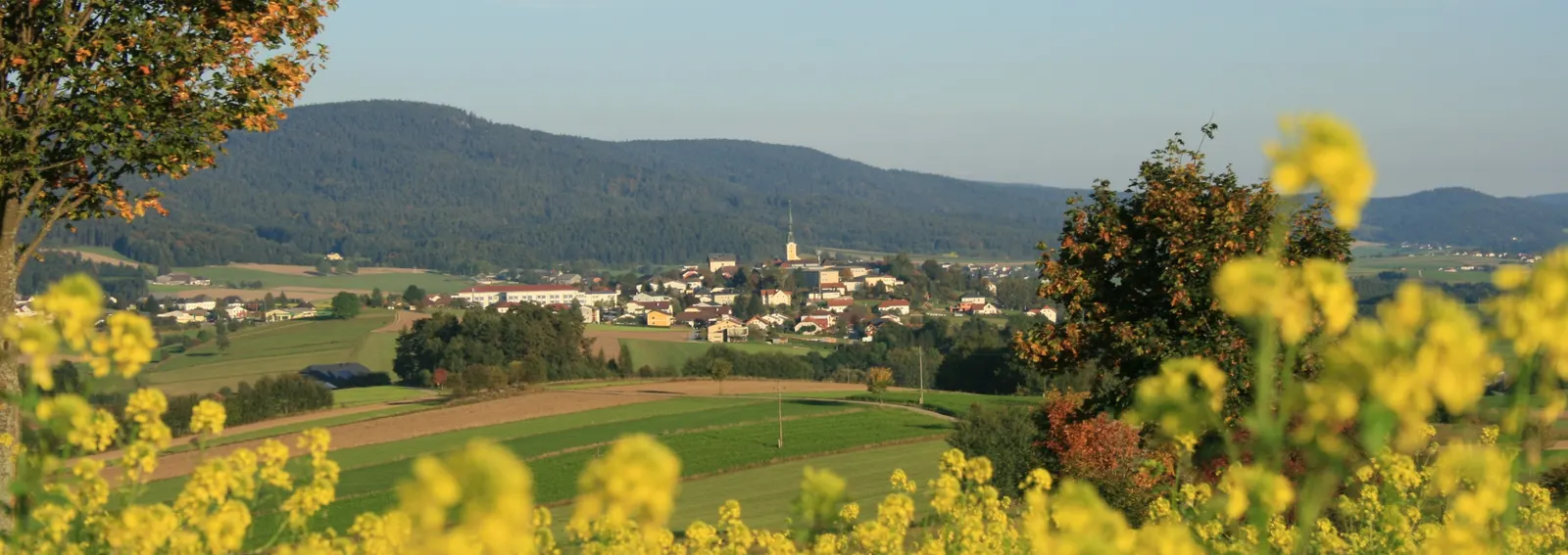 Jugendgästehaus Ulrichsberg in Ulrichsberg, Oberösterreich