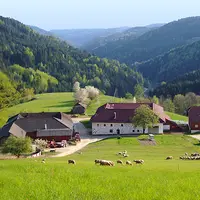 Jungscharhaus Steinöcker in St. Leonhard