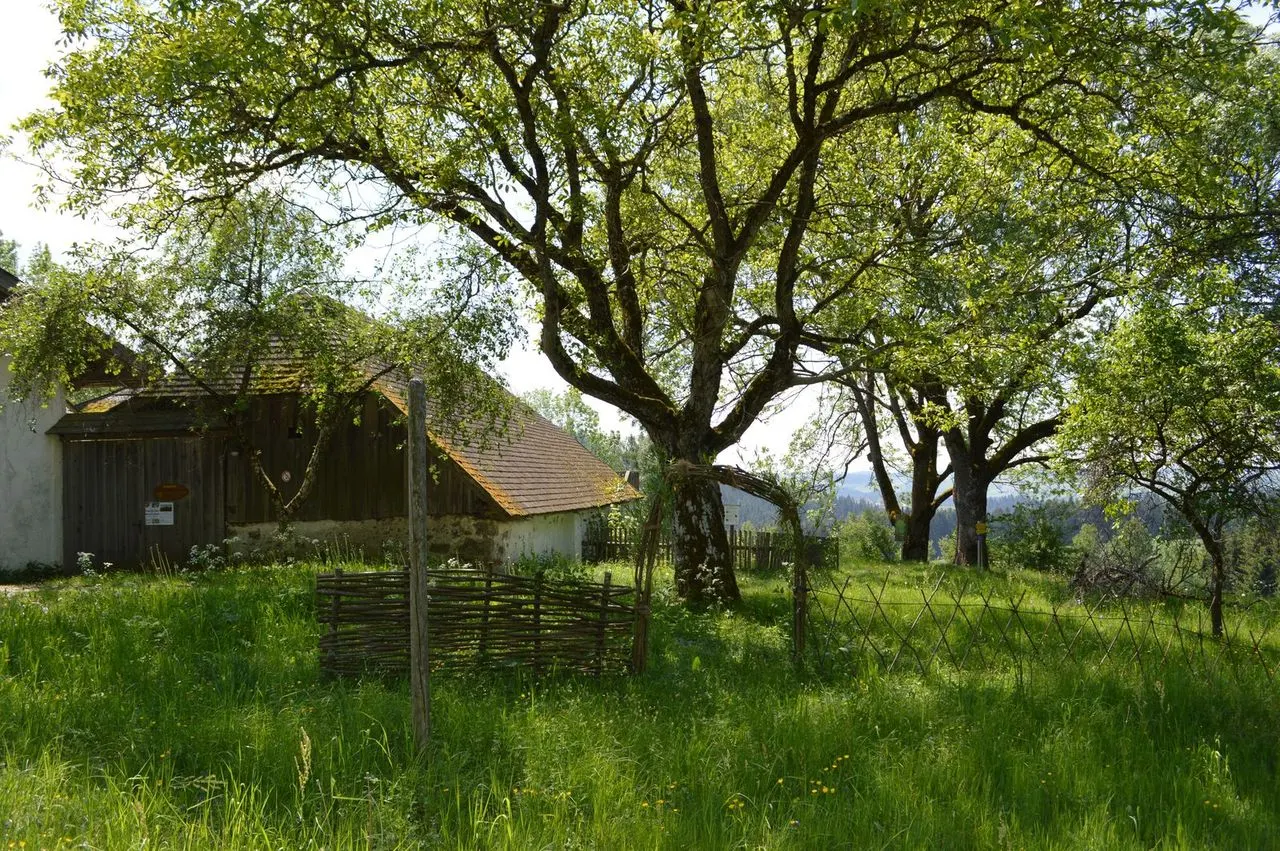 ÖNJ Erlebnishof Unterkagerer in Auberg, Oberösterreich
